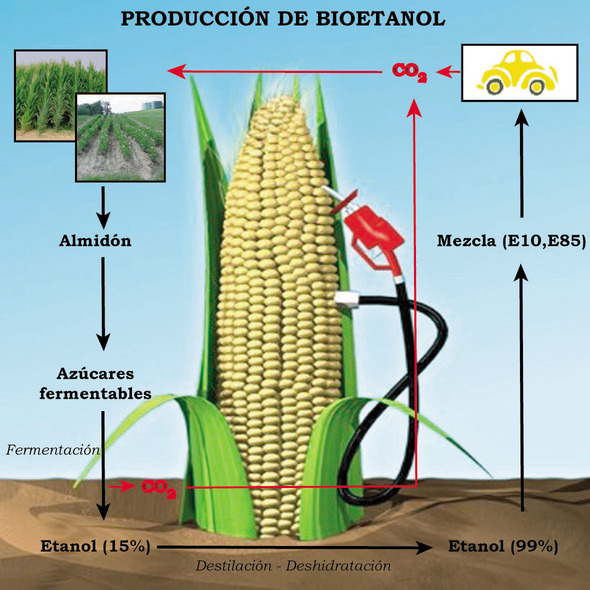 Bioetanol, derivado del maíz